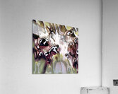 2276 8K Acrylic Print