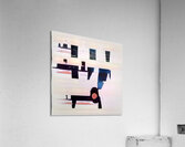 2318 8K Acrylic Print