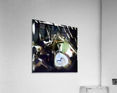 2347 8K Acrylic Print