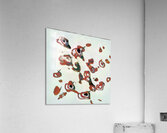 2322 8K Acrylic Print