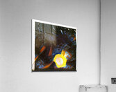 2331 8K Acrylic Print