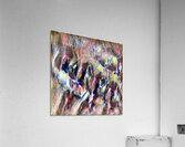 2328 8K Acrylic Print