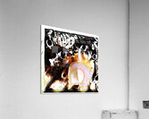 2317 8K Acrylic Print