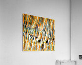 2335 8K Acrylic Print