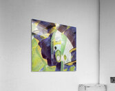 2381 8K Acrylic Print