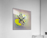 2368 8K Acrylic Print