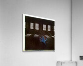 2388 8K Acrylic Print