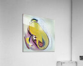 2354 8K Acrylic Print