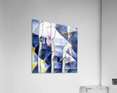 2399 8K Acrylic Print