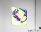 2392 8K Acrylic Print