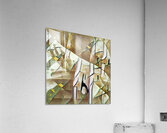 2426 8K Acrylic Print