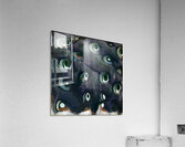 2414 8K Acrylic Print