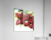 2415 8K Acrylic Print