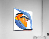 2397 8K Acrylic Print