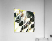 2403 8K Acrylic Print