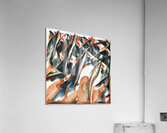 2411 8K Acrylic Print