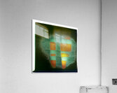 2420 8K Acrylic Print