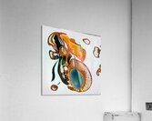 2405 8K Acrylic Print