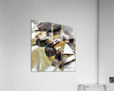 2429 8K Acrylic Print