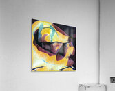 2408 8K Acrylic Print