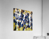 2468 8K Acrylic Print