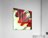 2443 8K Acrylic Print