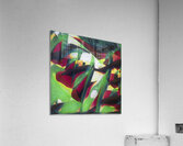 2473 8K Acrylic Print