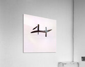 2450 8K Acrylic Print