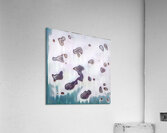 2451 8K Acrylic Print