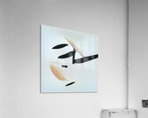 2471 8K Acrylic Print