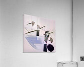 2474 8K Acrylic Print