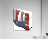 2478 8K Acrylic Print