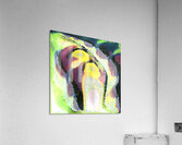 2466 8K Acrylic Print