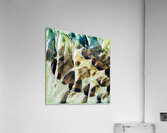 2493 8K Acrylic Print