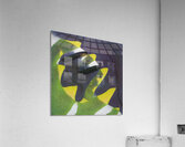 2481 8K Acrylic Print