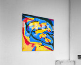 2503 8K Acrylic Print