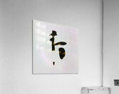 2494 8K Acrylic Print