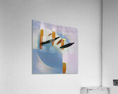 2508 8K Acrylic Print