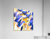 2512 8K Acrylic Print