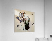 2491 8K Acrylic Print