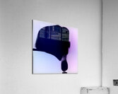 2546 8K Acrylic Print