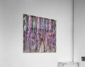 2529 8K Acrylic Print