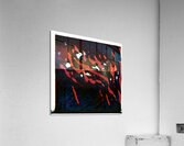 2555 8K Acrylic Print