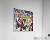 2556 8K Acrylic Print