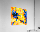 2536 8K Acrylic Print