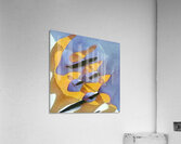 2581 8K Acrylic Print