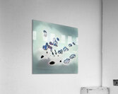 2576 8K Acrylic Print