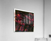 2596 8K Acrylic Print