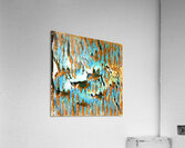 2594 8K Acrylic Print