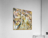 2570 8K Acrylic Print